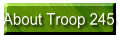 About Troop 245